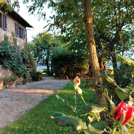 Casa Gioia Lejlighed Greve in Chianti Eksteriør billede