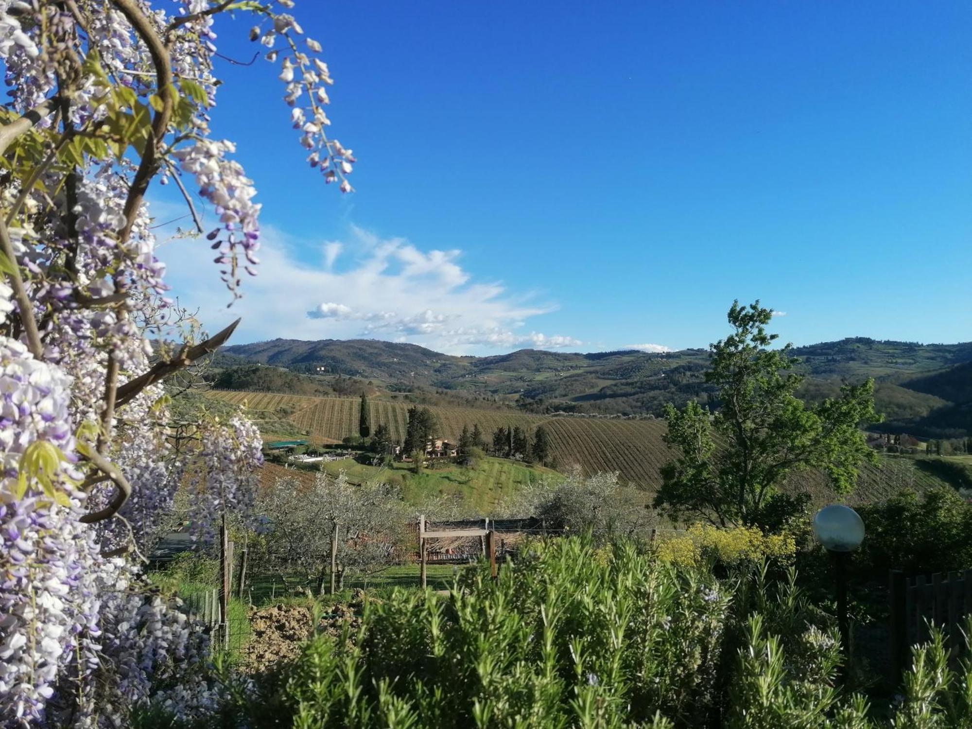 Casa Gioia Lejlighed Greve in Chianti Eksteriør billede